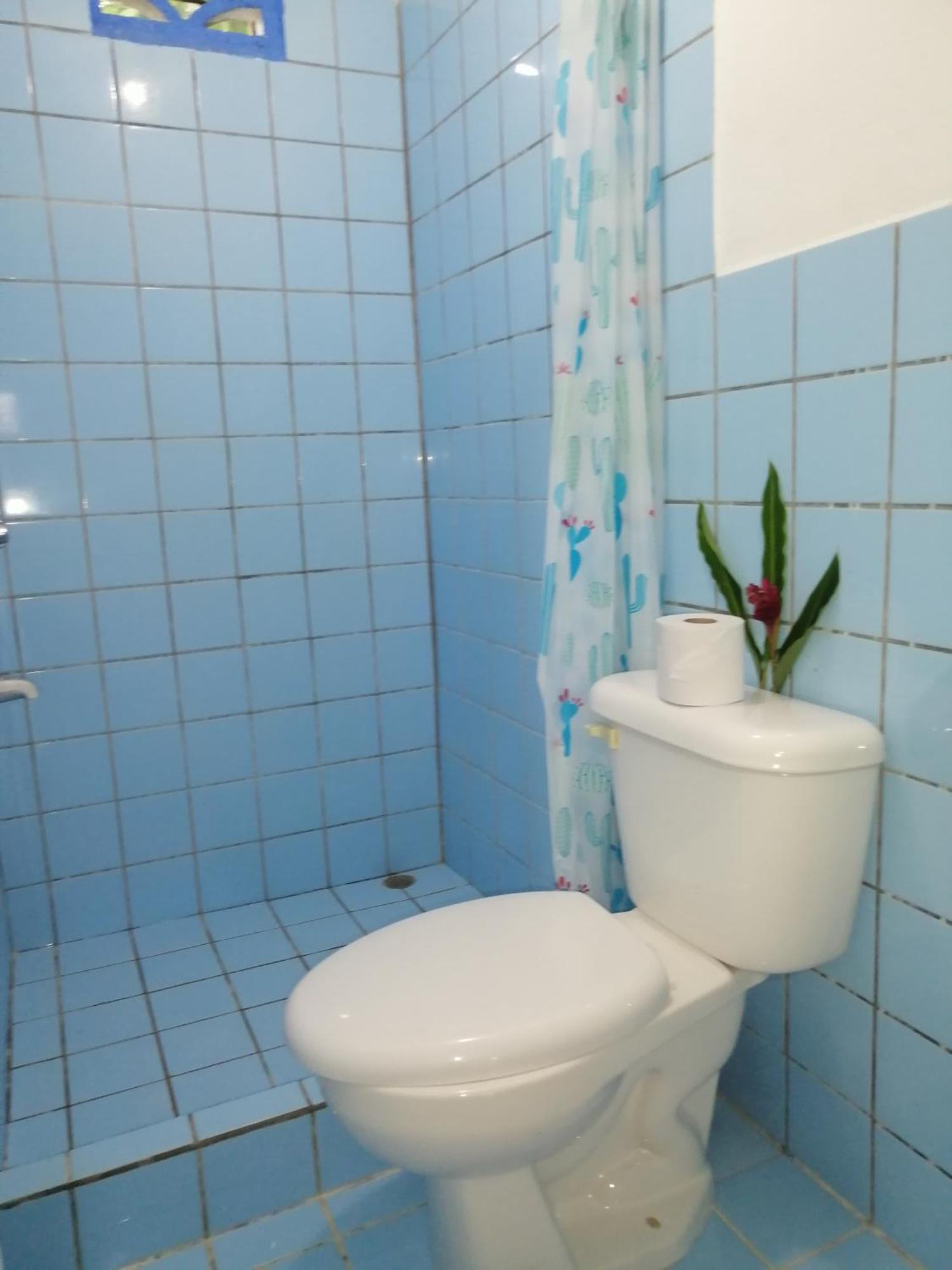 Rooms Palmeras كويتا المظهر الخارجي الصورة